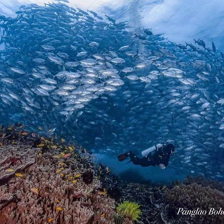 Ultra Mint Dive Resort Панглао Экстерьер фото