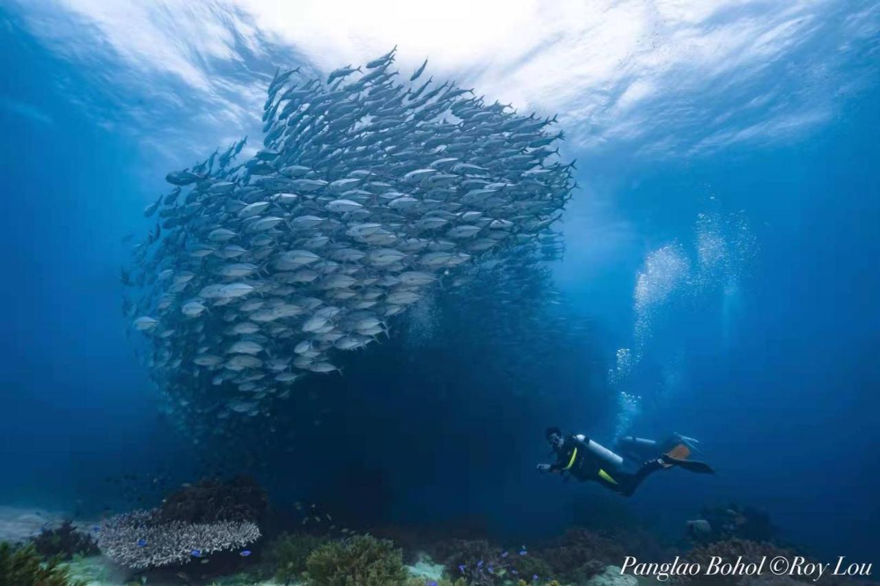 Ultra Mint Dive Resort Панглао Экстерьер фото