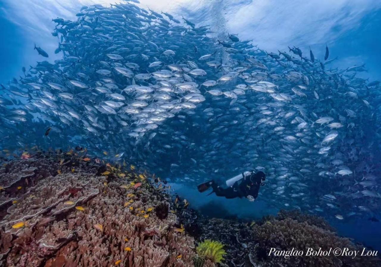Ultra Mint Dive Resort Панглао Экстерьер фото